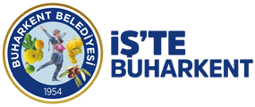 İş'te Buharkent